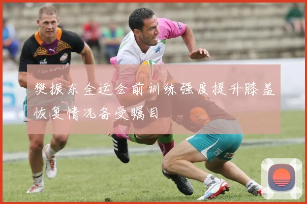 樊振东全运会前训练强度提升膝盖恢复情况备受瞩目